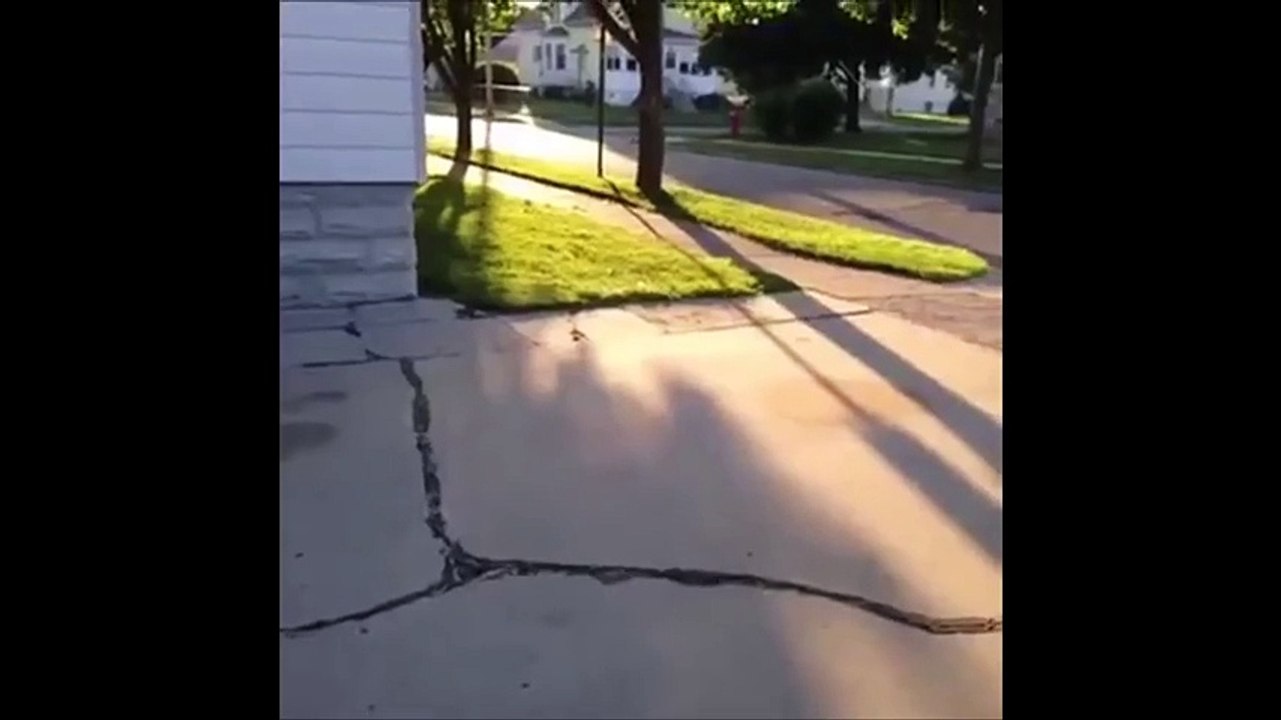 Kid on Crack Full Vine (Original)