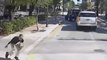 Florida Bus Driver Narrowly Avoids Hitting Pedestrian Who Fell Into Street