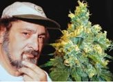 Cannabis, Jack Herer Empereur du Chanvre en Français