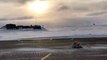 Un phoque bloque la piste d'un aéroport en Alaska