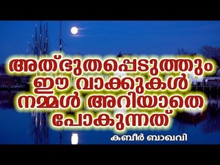 നിങ്ങളെ അത്ഭുതപ്പെടുത്തും ഈ വാക്കുകൾ Islamic Speech in Malayalam | islamicspeechtv | Kabeer Baqavi