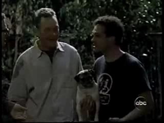 Louis Tries a New Squirrel Coat (Squirrel Puppets)