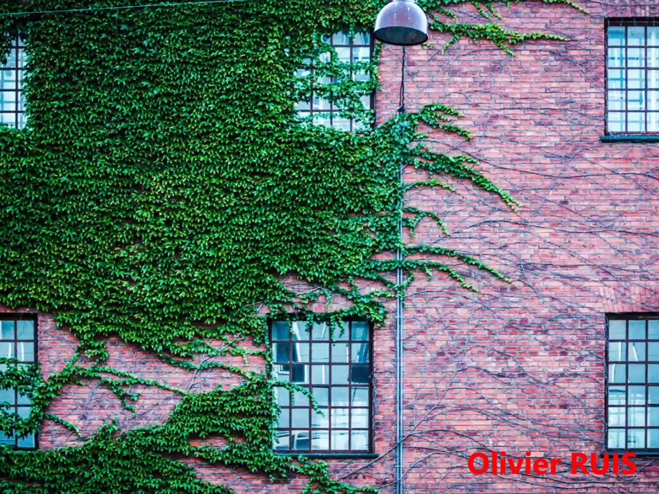 Concours Nature en ville - les 20 premiers