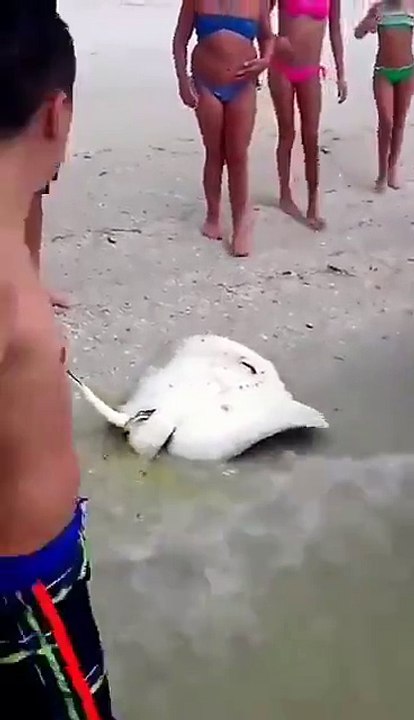 Giving birth on a shore