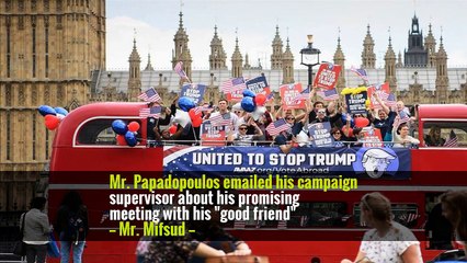 The Professor Behind the Trump Campaign Adviser Charges