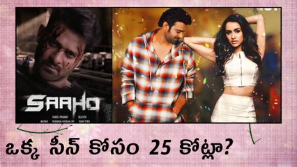 25 Crores For Just A Single Action Scene In Sahoo ఒక్క సీన్ కోసం 25 కోట్లా