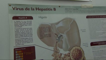 Experts gather in Brazil to fight hepatitis