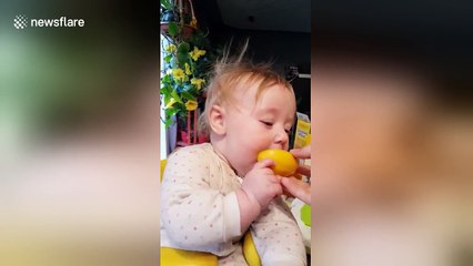 Baby tries lemon for the first time and doesn't like it