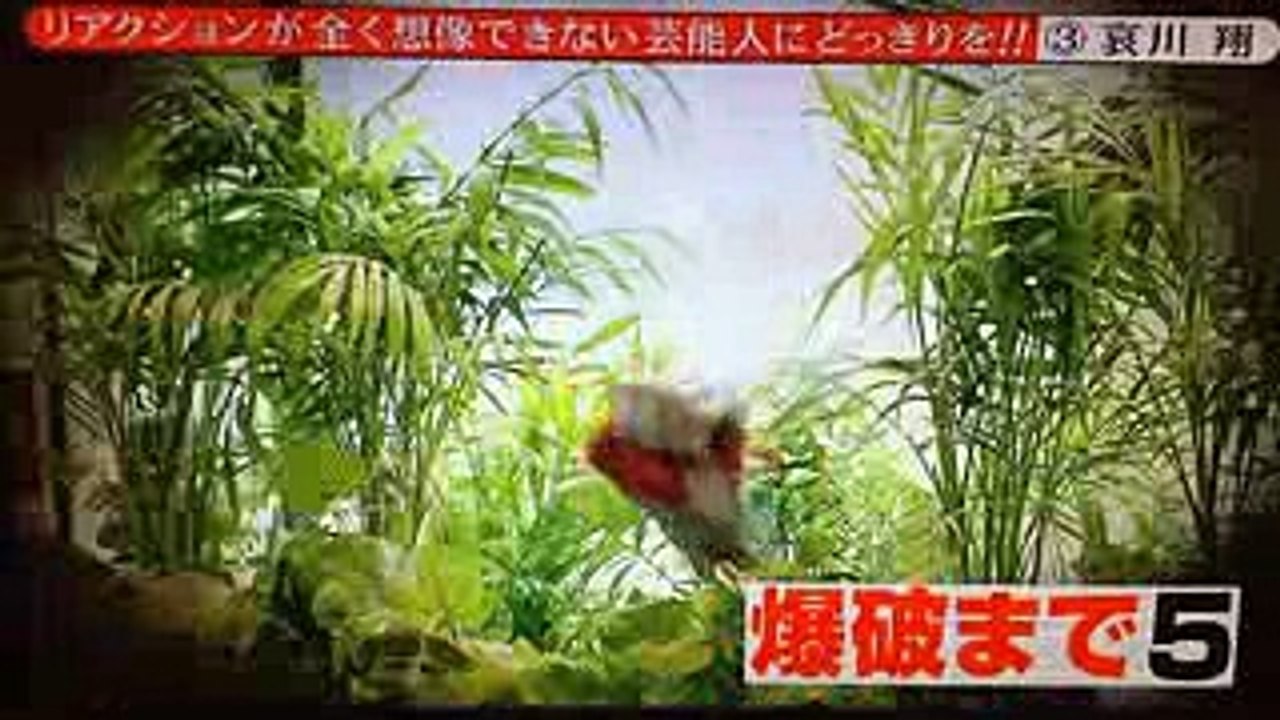 リアクションが全く想像できない芸能人にどっきりを!!③哀川翔