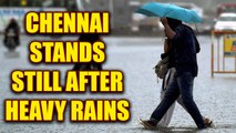 Chennai rains puts city to a stand still, several areas inundated by rainwaters | Oneindia News