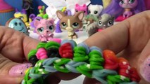 Fan Mail #27 - Mystery Surprise Toys Littlest Pet Shop LPS Packages LPS