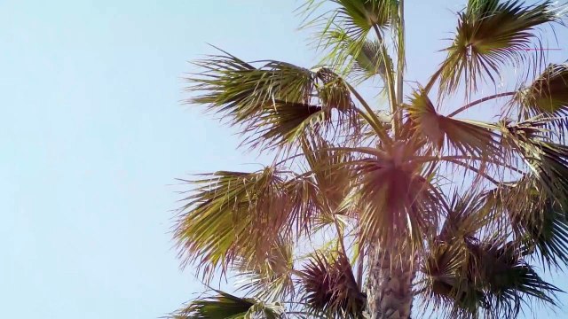 النجمة التركية سونغول المشهورة بنور تكشف لـ لها عن عشقها للمجوهرات