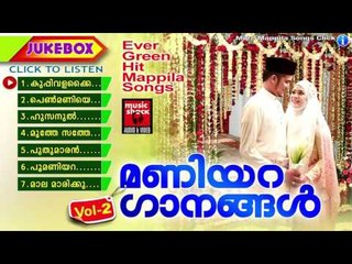 മാപ്പിളപ്പാട്ടിലെ മണിയറ ഗാനങ്ങൾ Vol -2 | Mappila Pattukal Old Is Gold | Malayalam Mappila Songs