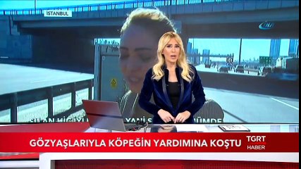 Gözyaşlarıyla Köpeğin Yardımına Koştu