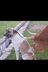 FUNNY VIDEO - Thanks for the scrub buddy, I owe ya! ...MP4