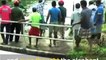 funny video - These guys came across an elephant who’d...