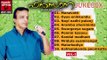 Mappila Pattukal Old Is Gold | Farsana | Peer Muhammed Malayalam Mappila Songs Audio Jukebox | Vol.2