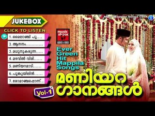 മാപ്പിളപ്പാട്ടിലെ മണിയറ ഗാനങ്ങൾ Vol -1 | Mappila Pattukal Old Is Gold | Malayalam Mappila Songs