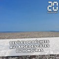 Des îles de déchets formées au large des côtes du Honduras