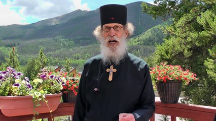 Politically Incorrect Jewish News