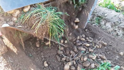 FoodWe: utiliser les surplus des agriculteurs pour aider les plus démunis - INSPIRE