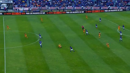 L'arrêt démentiel du gardien des Tigres