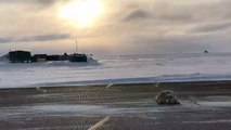 Un phoque barbu de 200 kilos bloque une piste d’aéroport