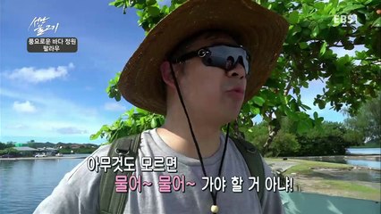 성난 물고기 - 풍요로운 바다정원, 팔라우_#001