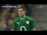 Francia v Irlanda  - i momenti principali della partita a Parigi - 15 Marzo 2014