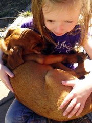 Menina adorável canta música de embalar a cãozinho adotado