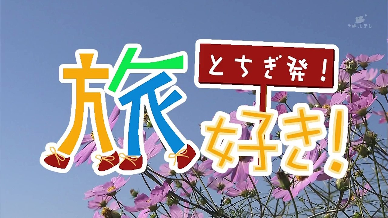 171030 とちぎ発!旅好き! 森戸知沙希 モーニング娘。'17