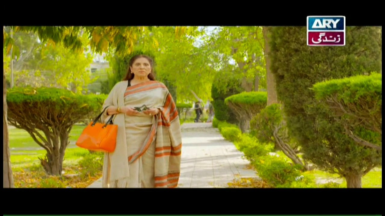 Rasm-e-Duniya Episode 15 - on ARY Zindagi in High Quality 31st October 2017