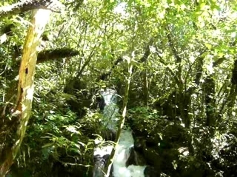 CASCADE