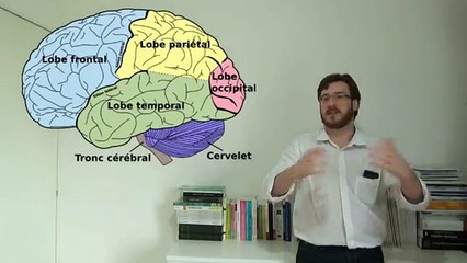 Délires neurologiques Capgras et Fregoli