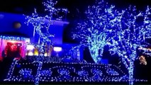 Famed Brooklyn Neighborhood`s Christmas Light Display Could be in Jeopardy