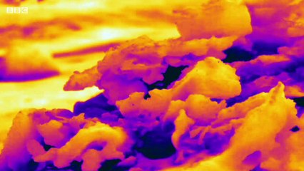 Forces of Nature: The Pale Blue Dot (4 of 4)