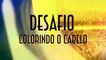 Desafio 05 - Colorindo o Cabelo - Emerson Martins Video Blog 2012