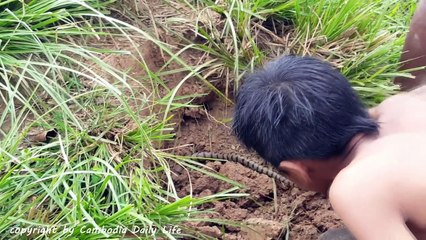 (100% Real Life ) Amazing Three Boys Catch Three Big Snakes by Digging One Hole