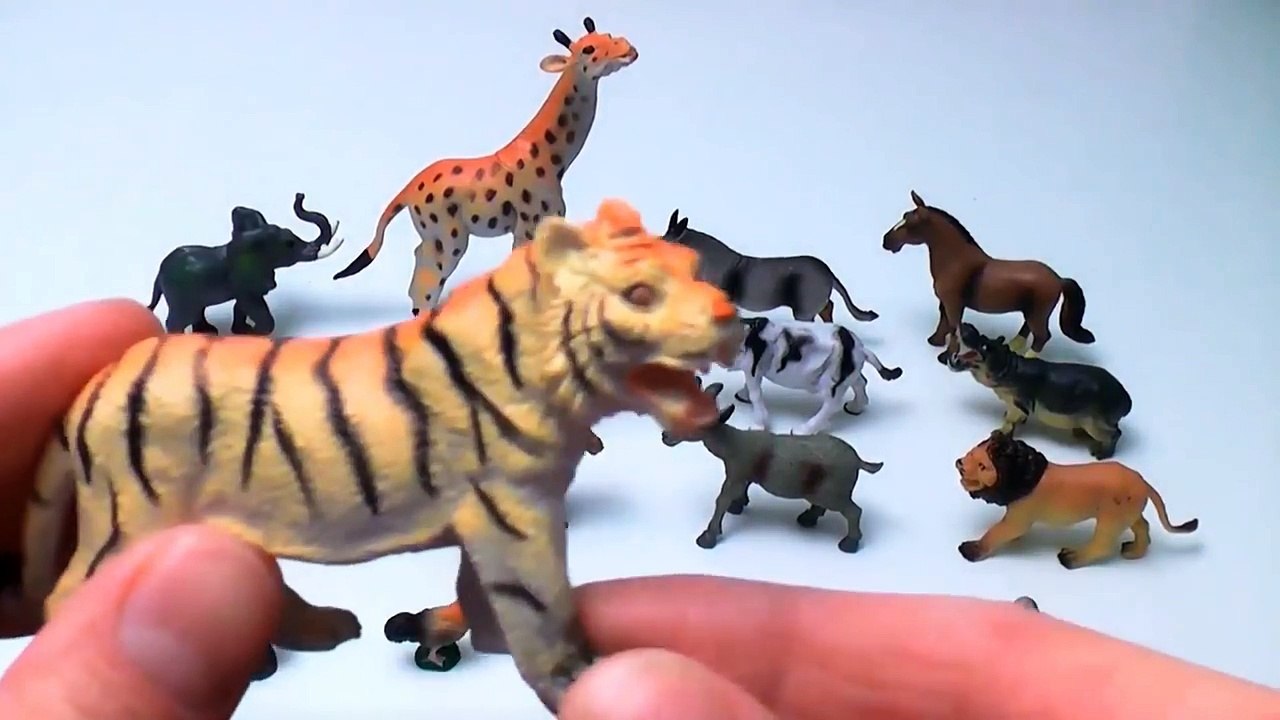 Farting Poo Poo Sea Animals Funny Finger Family Nursery Rhymes For Children Fart Song Orca Whale