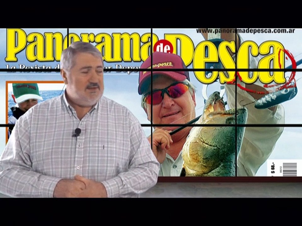 Panorama TV 356