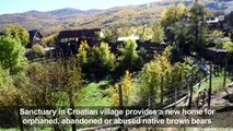 Croatian village gives shelter to abandoned bears