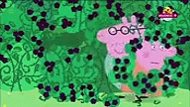 Świnka Peppa Po Polsku Nowe Odcinki 2017 - Specjalny Odc #7 Bajka Dla Dzieci HD PL by Moon lovers,Tv series 2018 Fullhd movies season online free