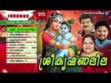VISHU SONGS MALAYALAM ശ്രീകൃഷ്ണലീല | Hindu Devotional Songs Malayalam | Krishna Devotional Songs