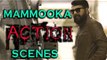 Mammootty Action Scenes | Super Hit Movie Scenes | Mega Star Mammootty Latest Movie Scenes