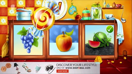 Write Letter Learn Alphabet Animal part 4