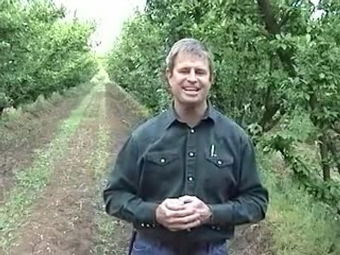 .Fresh Organic Food Natural Health