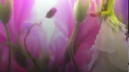 Películas de Disney para niños 2016 ☆ MOANA Películas para niños 2017