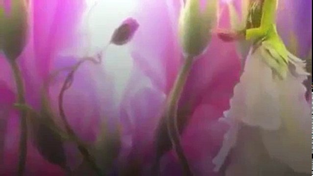 Películas de Disney para niños 2016 ☆ MOANA Películas para niños 2017