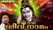 Hindu Devotional Songs Malayalam | ശിവ നാമം  | Shiva Devotional Songs | Madhu Balakrishnan