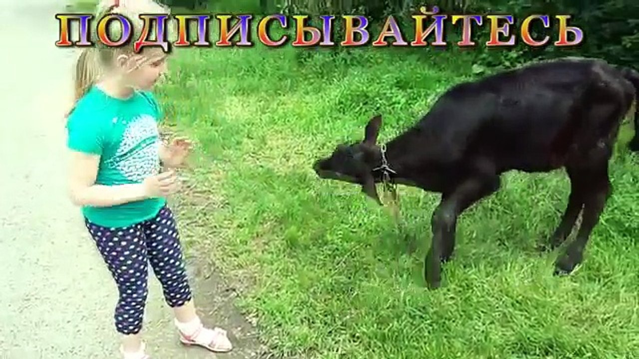 ТЕСТ САМЫХ СТРАШНЫХ ГОРОК В AQUAPARK ISTRALANDIA ХОРВАТИЯ. КТО ИЗ НАС ИСПУГАЕТСЯ ?